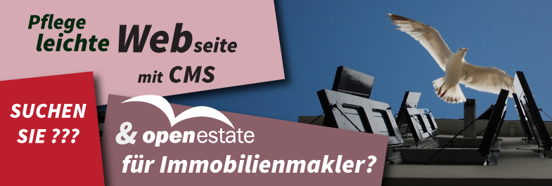 Pflegeleichte Webseite für Immobilienmakler